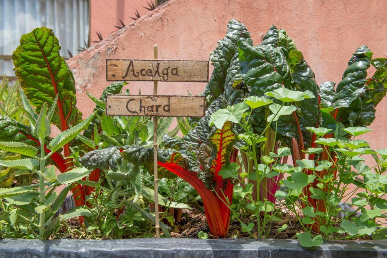 Casa Estrella De La Valenciana Hotel Boutique Guanajuato Zewnętrze zdjęcie