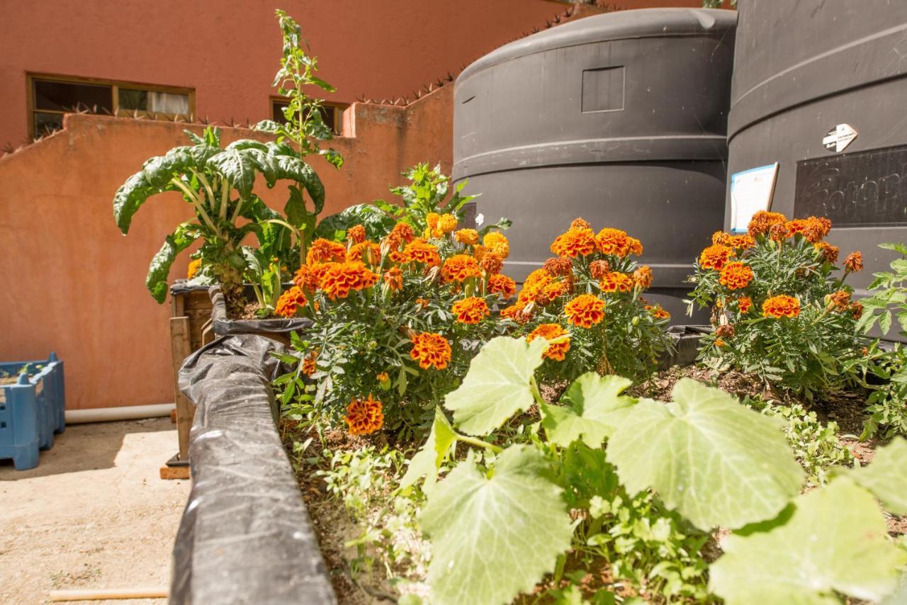 Casa Estrella De La Valenciana Hotel Boutique Guanajuato Zewnętrze zdjęcie