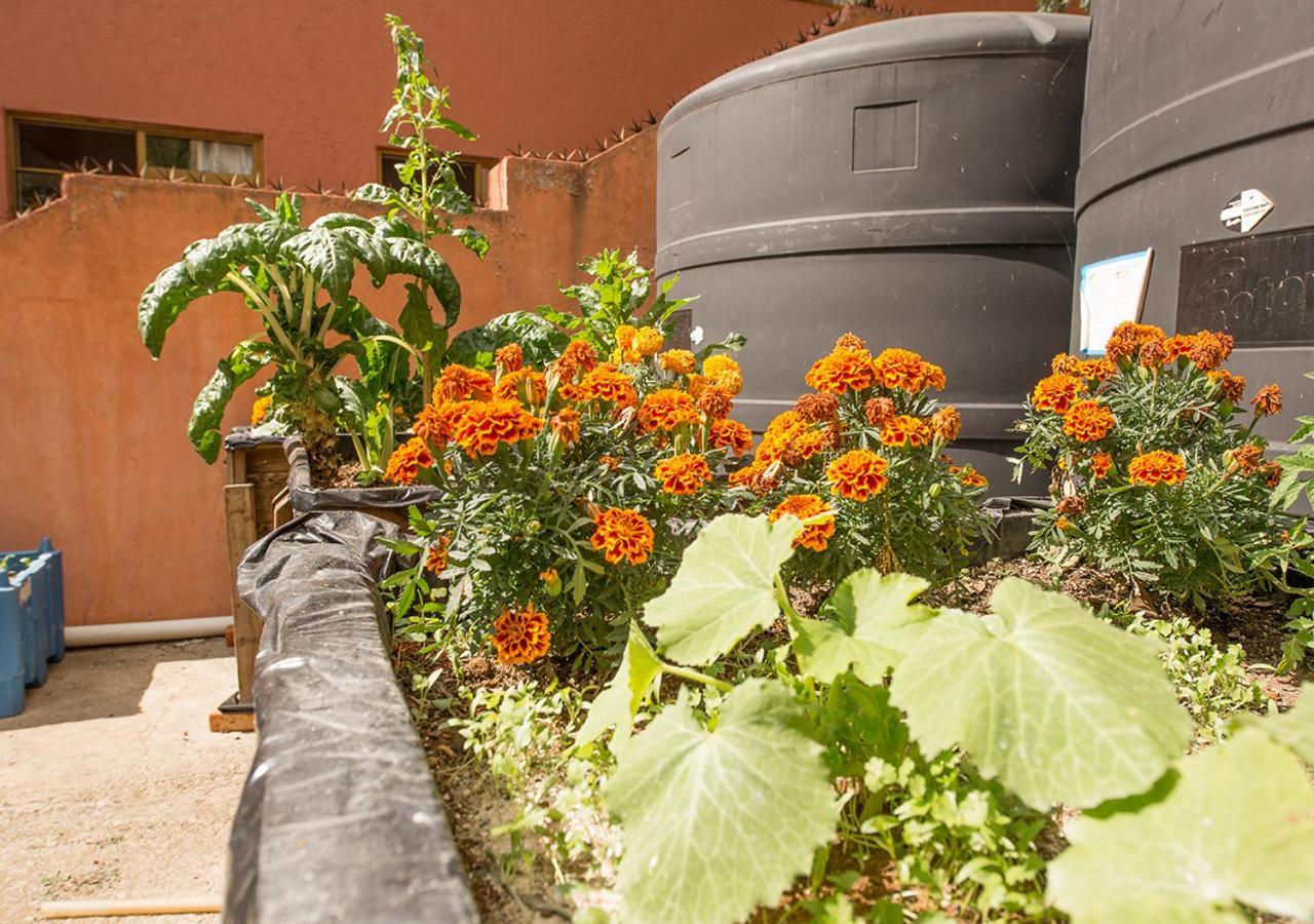 Casa Estrella De La Valenciana Hotel Boutique Guanajuato Zewnętrze zdjęcie